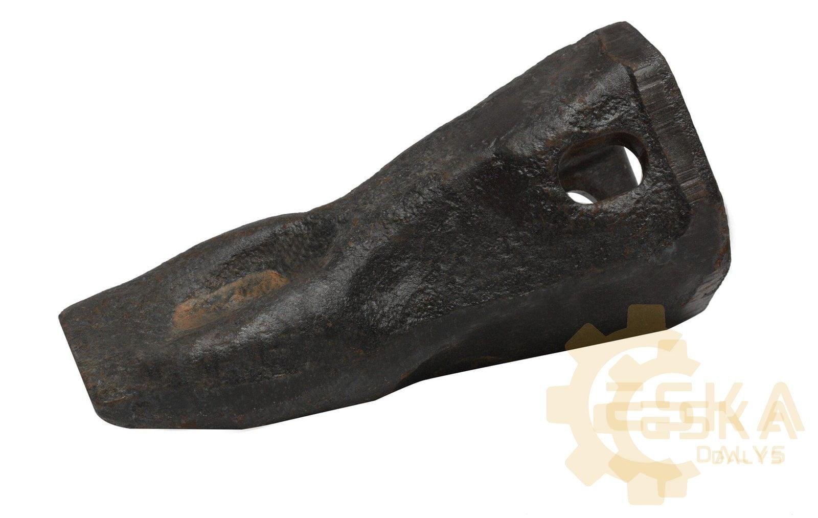 Kaušo dantis Originalas - 1957205 - Vaizdas 2