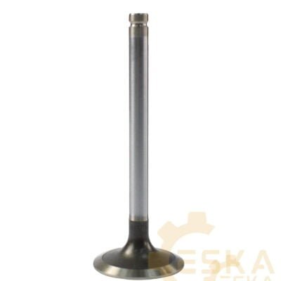 Įsiurbimo vožtuvas - 02/200863