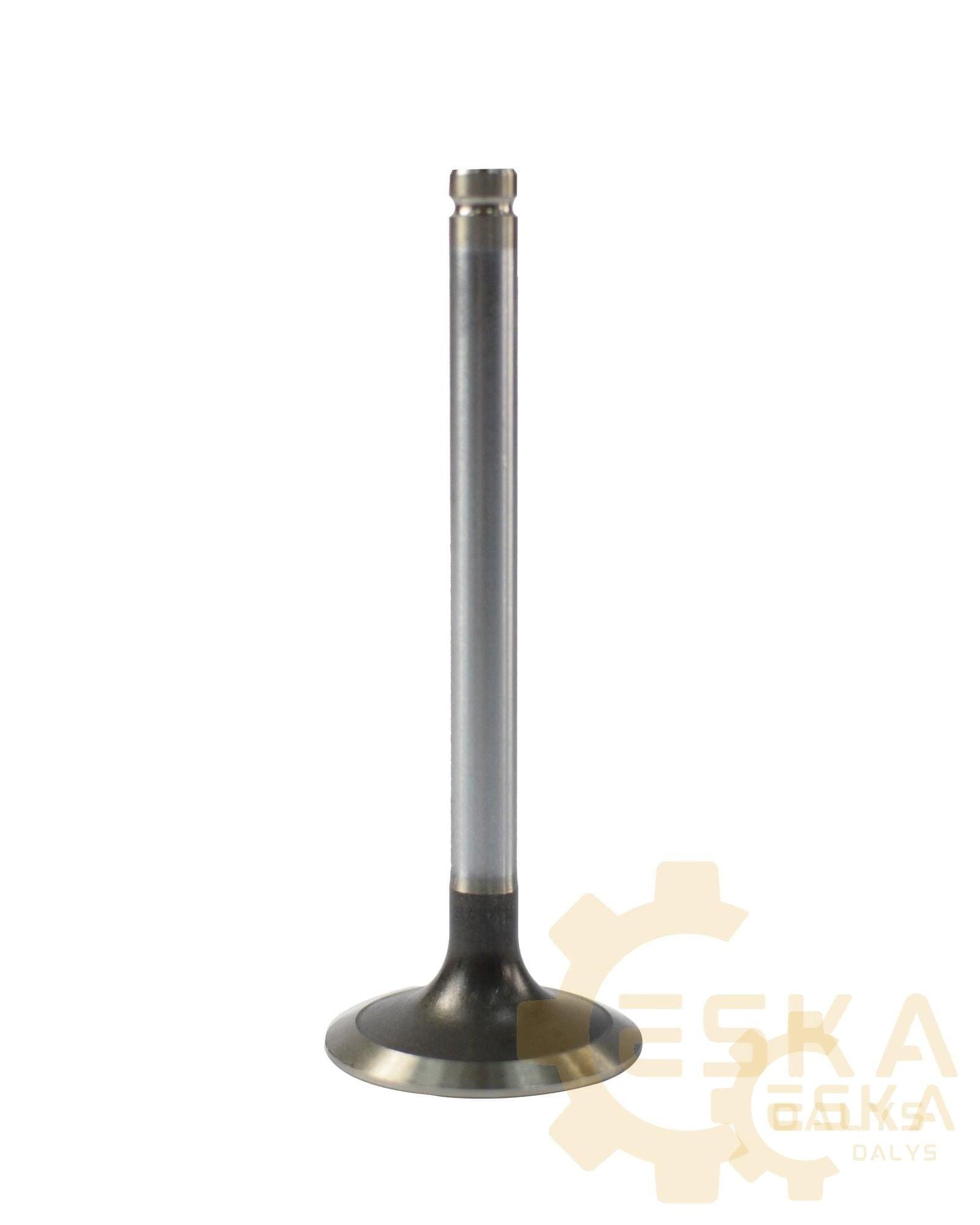 Įsiurbimo vožtuvas - 02/200863