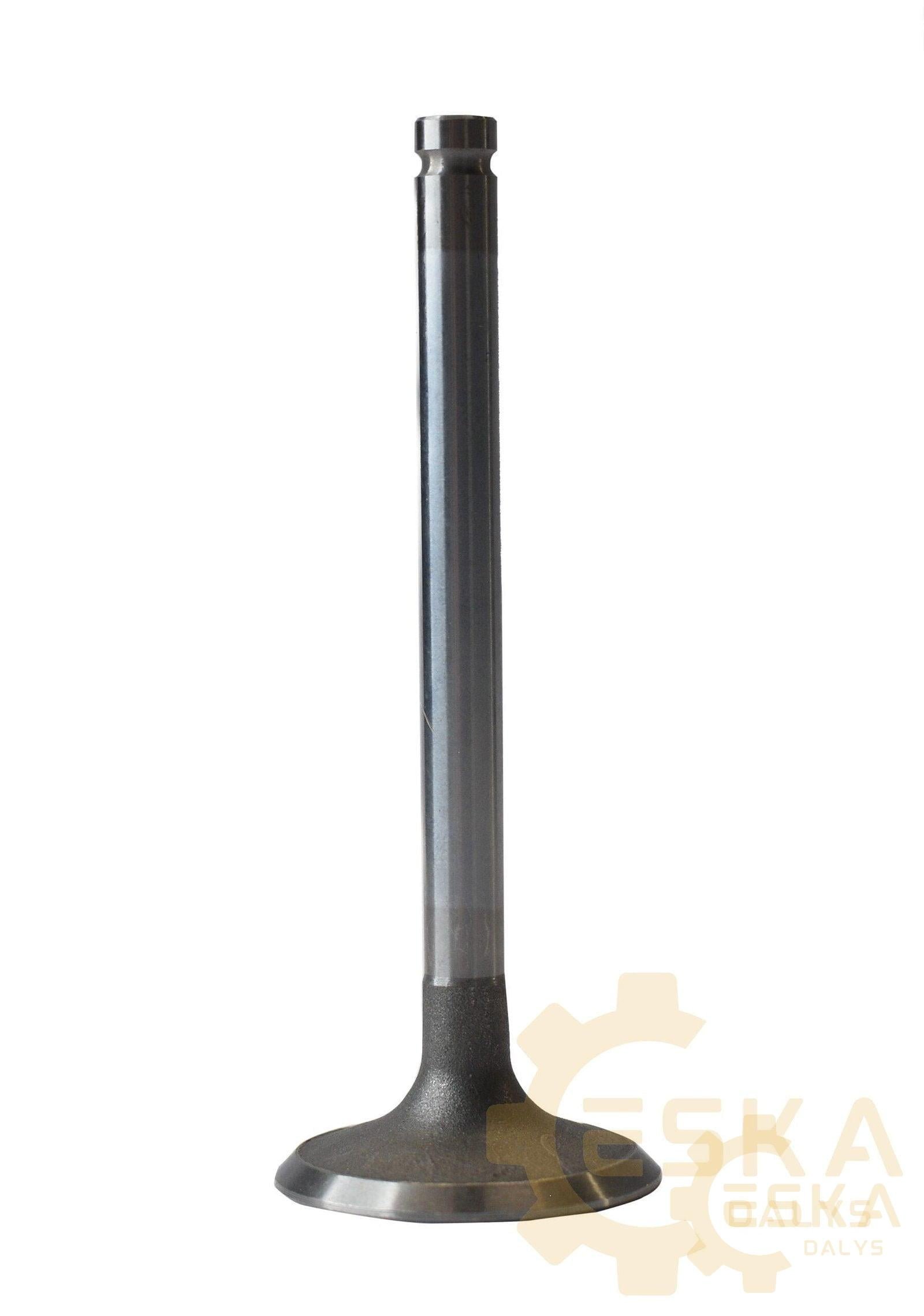 Įsiurbimo vožtuvas - 02/200050 - Vaizdas 2