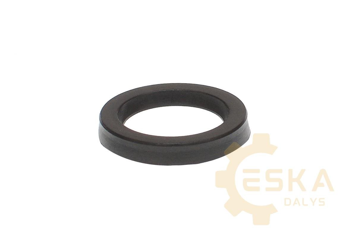 CAT Sandariklis - 940876