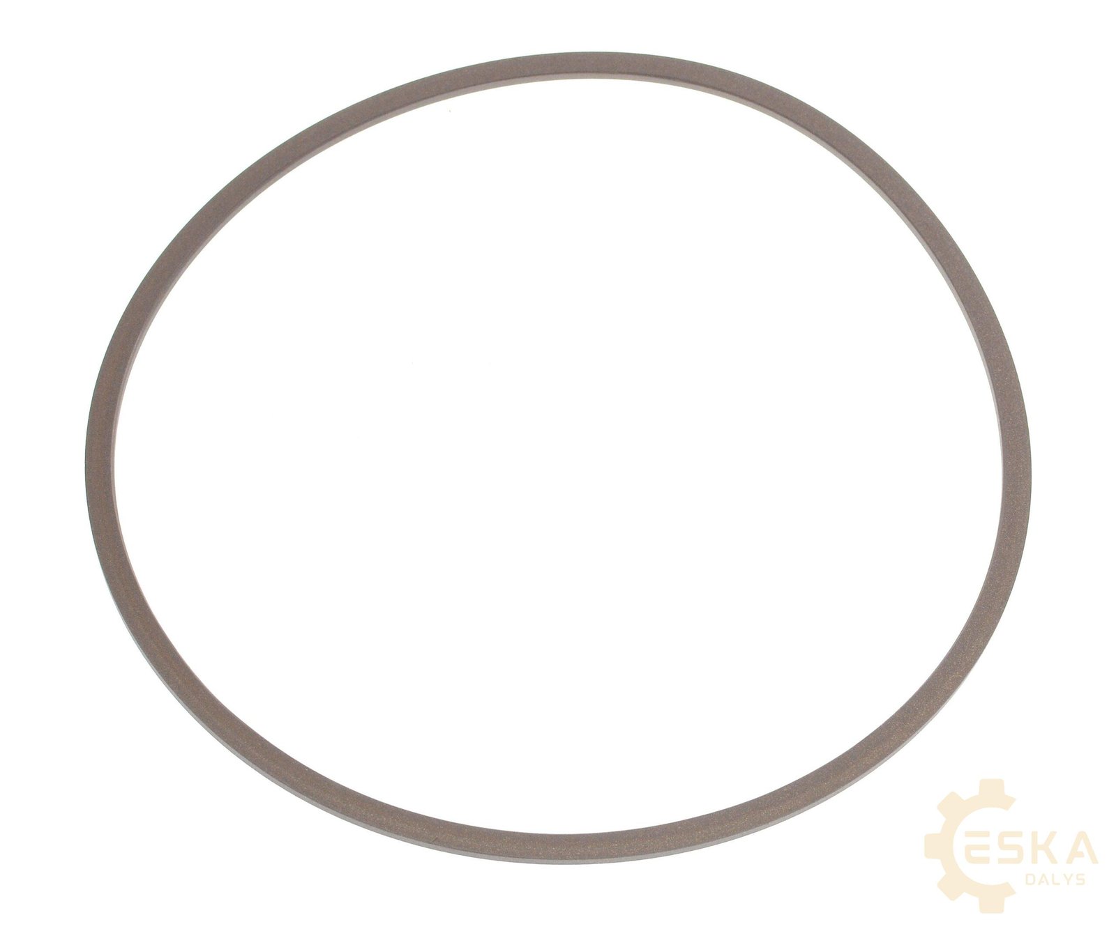 CAT sandariklis - 2679167