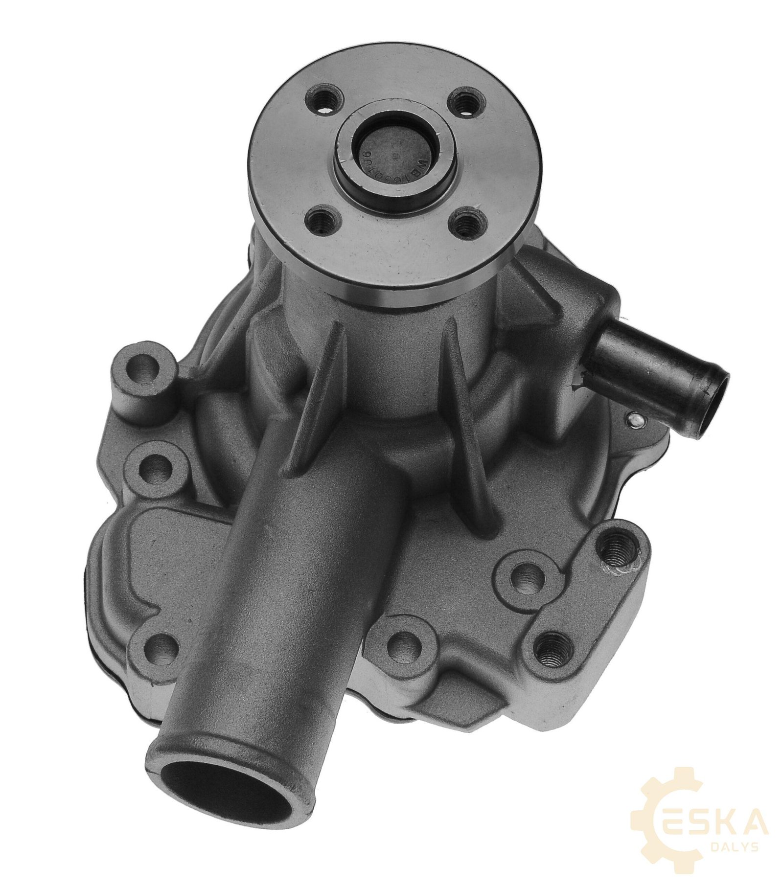 CAT vandens pompa - 3110053