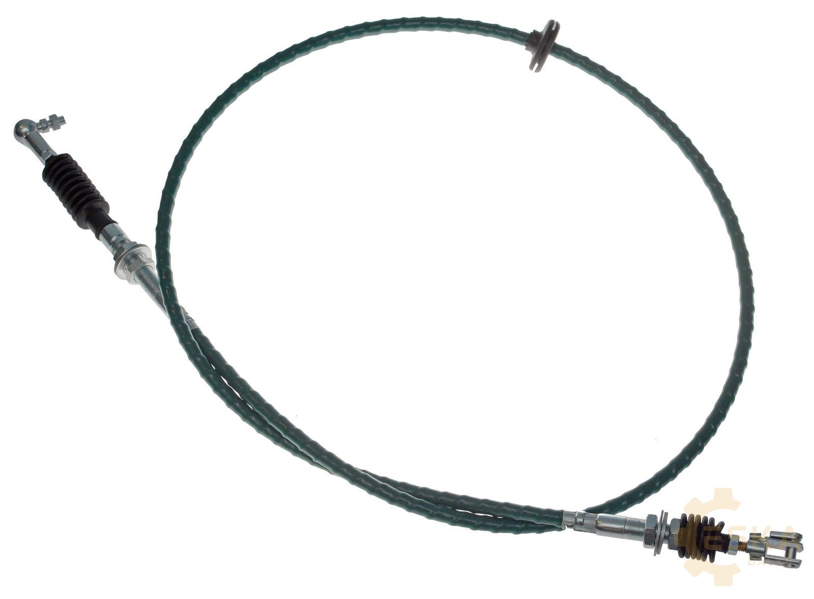 CAT trosas CVA - 3992959 - Vaizdas 2