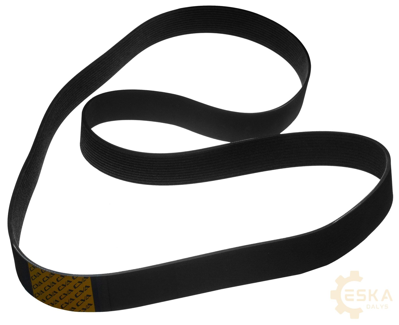 CAT V-diržas CVA - 3508747 - Vaizdas 4