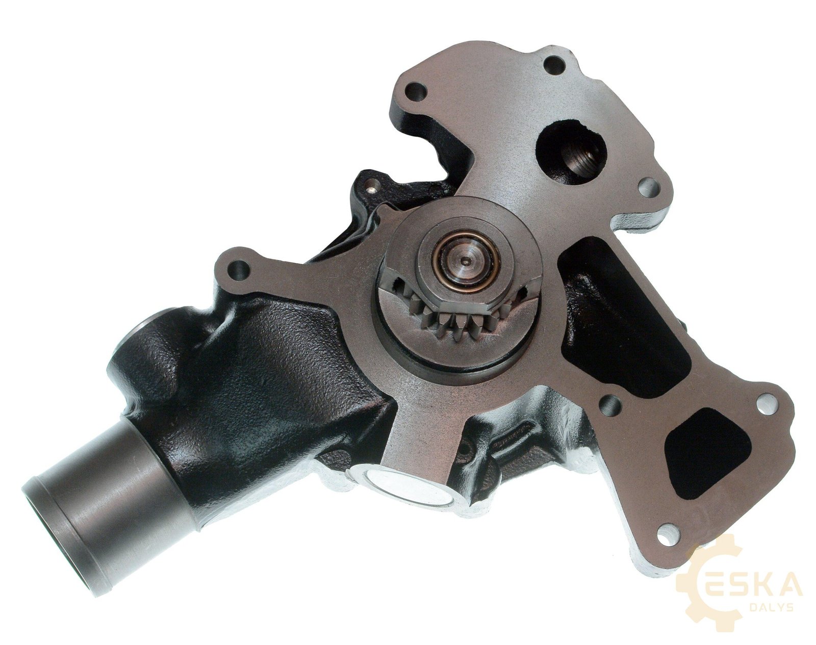 CAT vandens pompa su tarpine CVA - 3801659 - Afbeelding 2