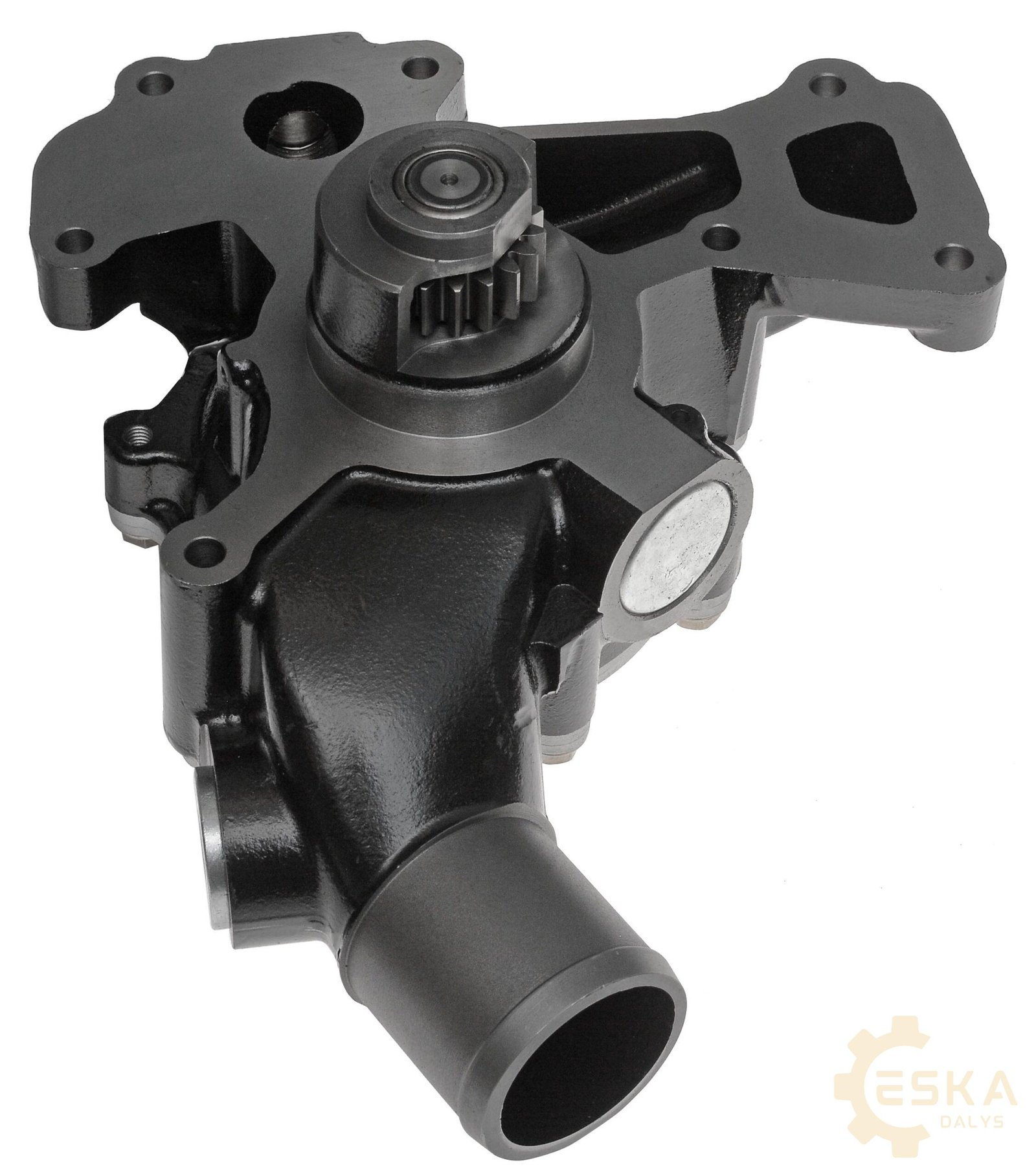 CAT vandens pompa CVA - 3975683 - Vaizdas 2