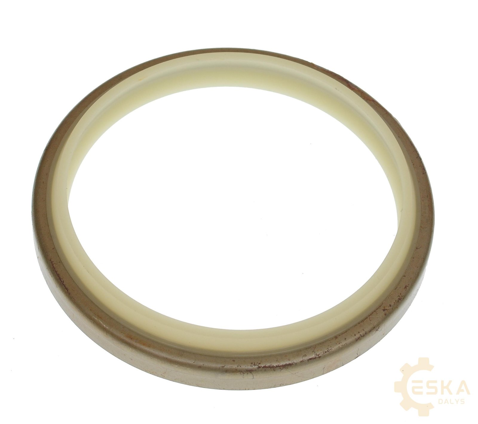 CAT sandariklis - 931436 – Image 2