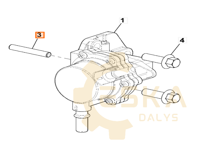 Ašelė- 320/07038 - Vaizdas 3